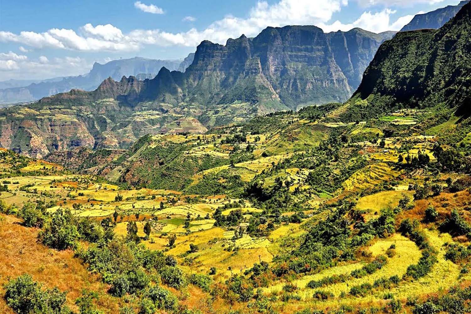 Some places are still available on Tom’s Orbis trip to Ethiopia - help end Trachoma and avoidable blindness.